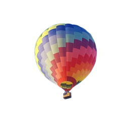Redian Software Global logo