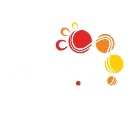 Regional Enterprise Development Institute Ltd (Redi.E) logo