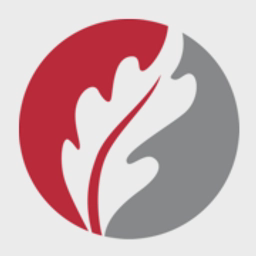 avatar logo