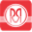 Red River Corporation logo