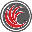 Red River Software logo