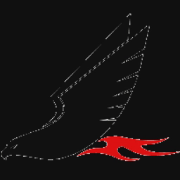 REDTAIL TELEMATICS LIMITED logo