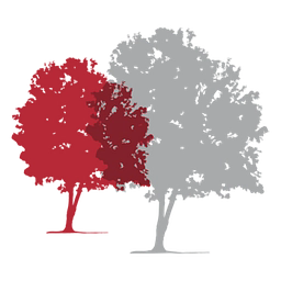 REDWOOD HEALTH CARE LIMITED logo