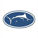 Reel Life International Inc logo