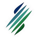 Regatta Solutions Inc. logo