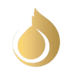 Regon Capital LLC logo
