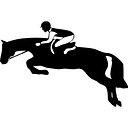 Reitsport Manski DE logo