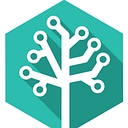 Remarque Systems logo
