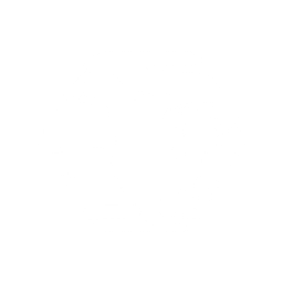 Remis America LLC logo