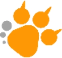 Remote Tiger Inc. logo