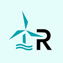 Renew Risk logo