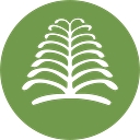 Re:New Project logo