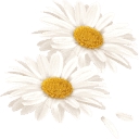 Ressources Santé Lm logo