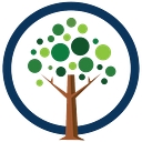 Solace Insurance logo