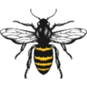 Restoration Yard logo