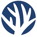 Logo for restorecoral.com