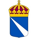 Revisorsinspektionen logo