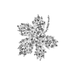 REWA Vineyards LLC logo
