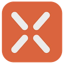 Rexing logo