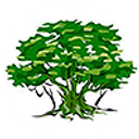 Reydon Primary School logo