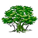 Reydon Primary School logo