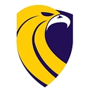 Rezilyens Llc logo