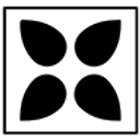 RF Salon logo