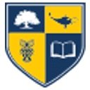 Rio Grande Valley College logo