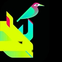 Rhinobird.Tv logo