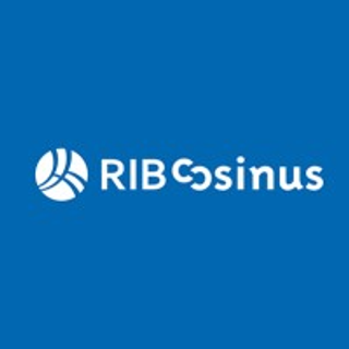 RIB Cosinus Workflow Engine logo