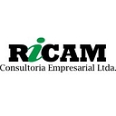 ricamconsultoria.com.br icon