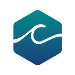 Ride The Next Wave LLC logo