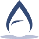 Right Angle Solutions Inc logo