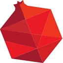 Rimon Advisory logo