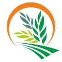 Rise Agro Infra Pvt Ltd logo