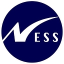 Risk Focus logo