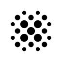 Risk Labs Foundation logo