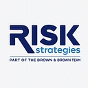 Favicon of Risk Strategies