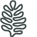 RITA ALLEN FOUNDATION INC logo