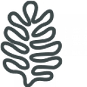 Rita Allen Foundation