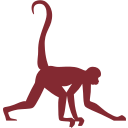 Riverbanks Society logo
