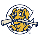 Charleston RiverDogs