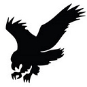 Riverhawk Company logo