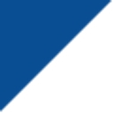 Saint Ignatius' College, Riverview logo
