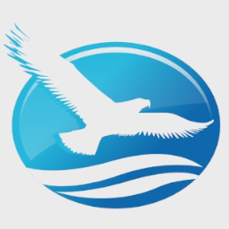 avatar logo