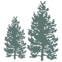 Riverwoods Group logo