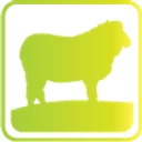 Rma Network logo