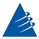Risk Management Advisors logo