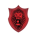RNS Technology Services Logo