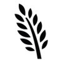 The Robbins Family Foundation logo